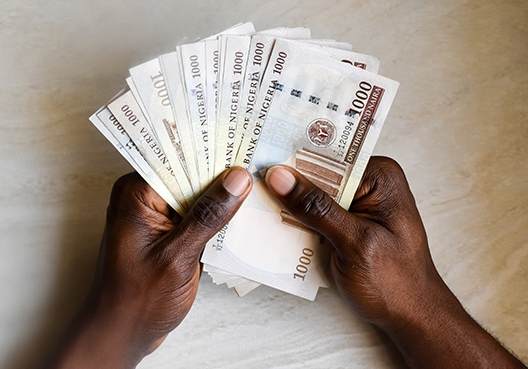 lots of bank notes in the hands of someone