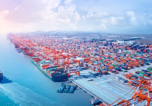A fleet of cargo ships and containers in a dock