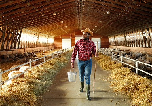 man walking in the barn surrounded by barrels of hay